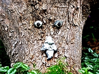 BOF2014 88  Man in the tree